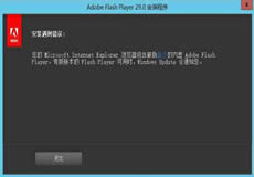 Windows Server 2016、2019顯示啟用Flash